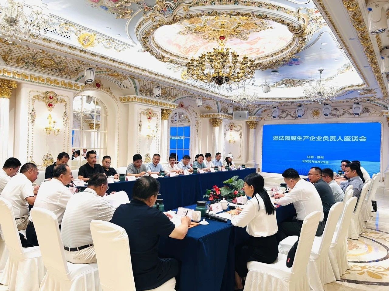 S36沙龙会 - 要玩就玩沙龙会